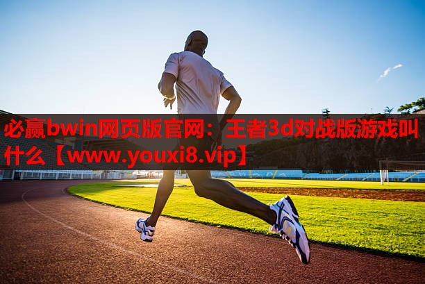必赢bwin网页版官网：王者3d对战版游戏叫什么