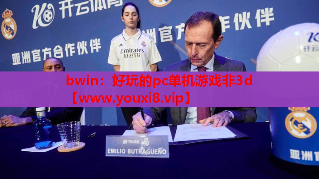 好玩的pc单机游戏非3d
