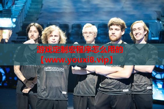 游戏定制宏程序怎么用的